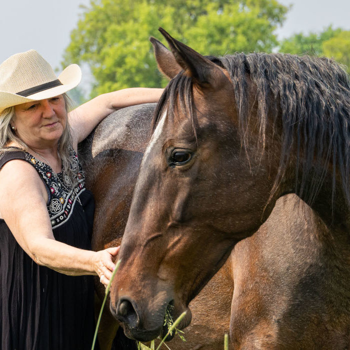 Photo of Horse and English rider at Horse Show